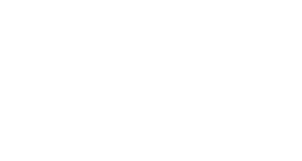 RSZ Team Steffen AG Team Steffen Logo