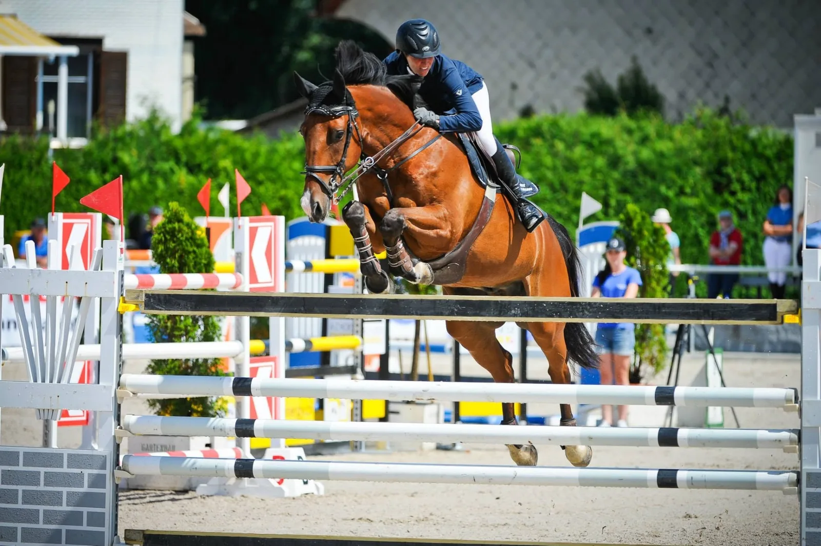 Team Steffen im Springparcours Nadine Steffen springt mit einem braunen Springpferd über ein Hindernis an einem Turnier